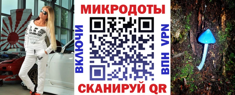 блэк спрут вход  магазин продажи наркотиков  Тайшет  Псилоцибиновые грибы прущие грибы 