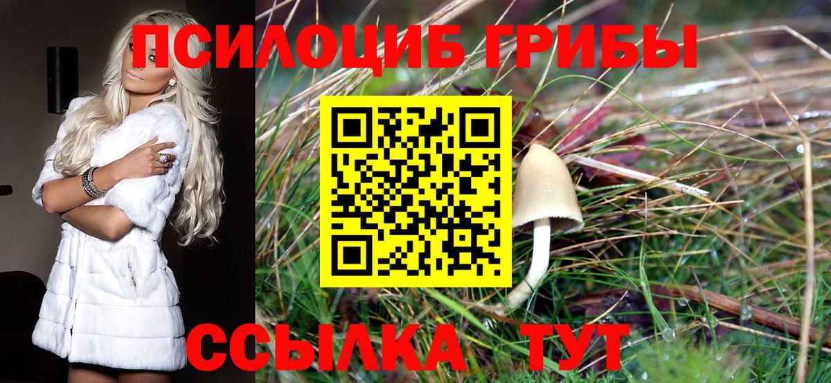 Галлюциногенные грибы мицелий Тайшет