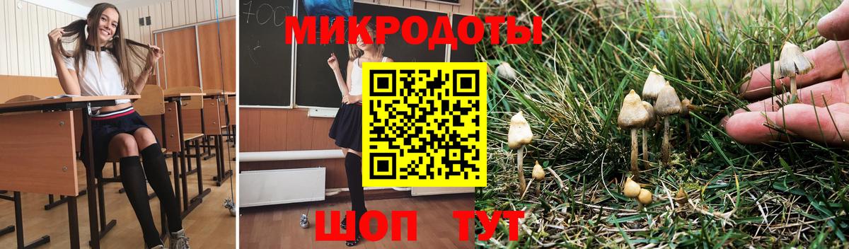 Тайшет  Псилоцибиновые грибы мухоморы  Галлюциногенные грибы Cubensis  Вход с VPN 