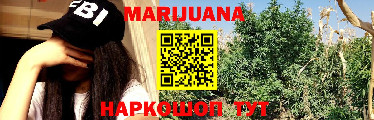 МАРИХУАНА планчик  Марихуана White Widow  Тайшет  Бошки марихуана конопля 